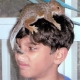 There\'s a wild squirrel on Jesse\'s head